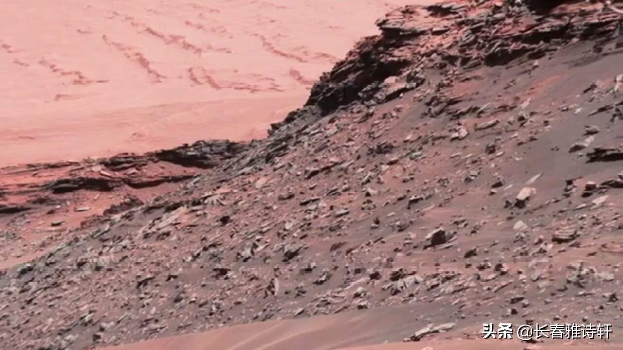 火星直播TV